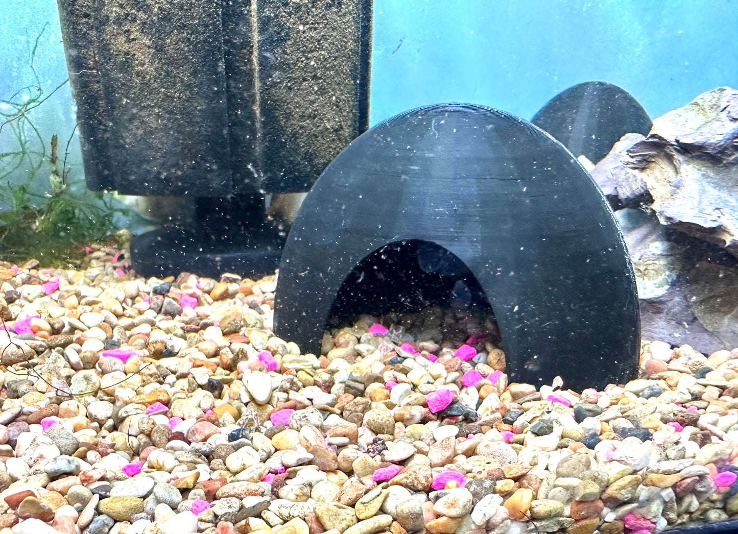 Small Fish Cave Oval Shape