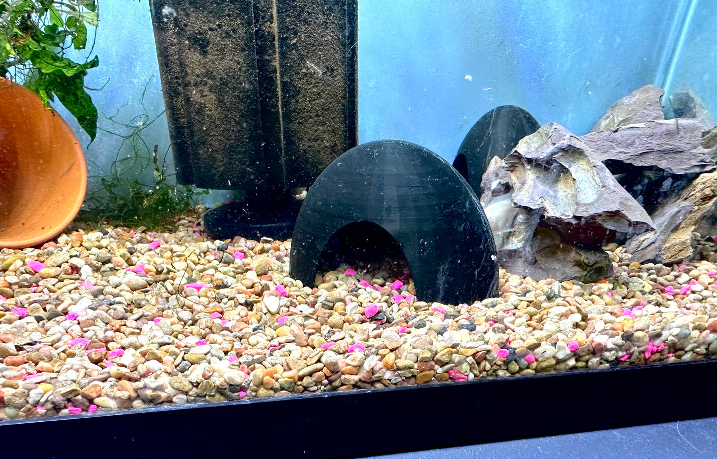 Small Fish Cave Oval Shape