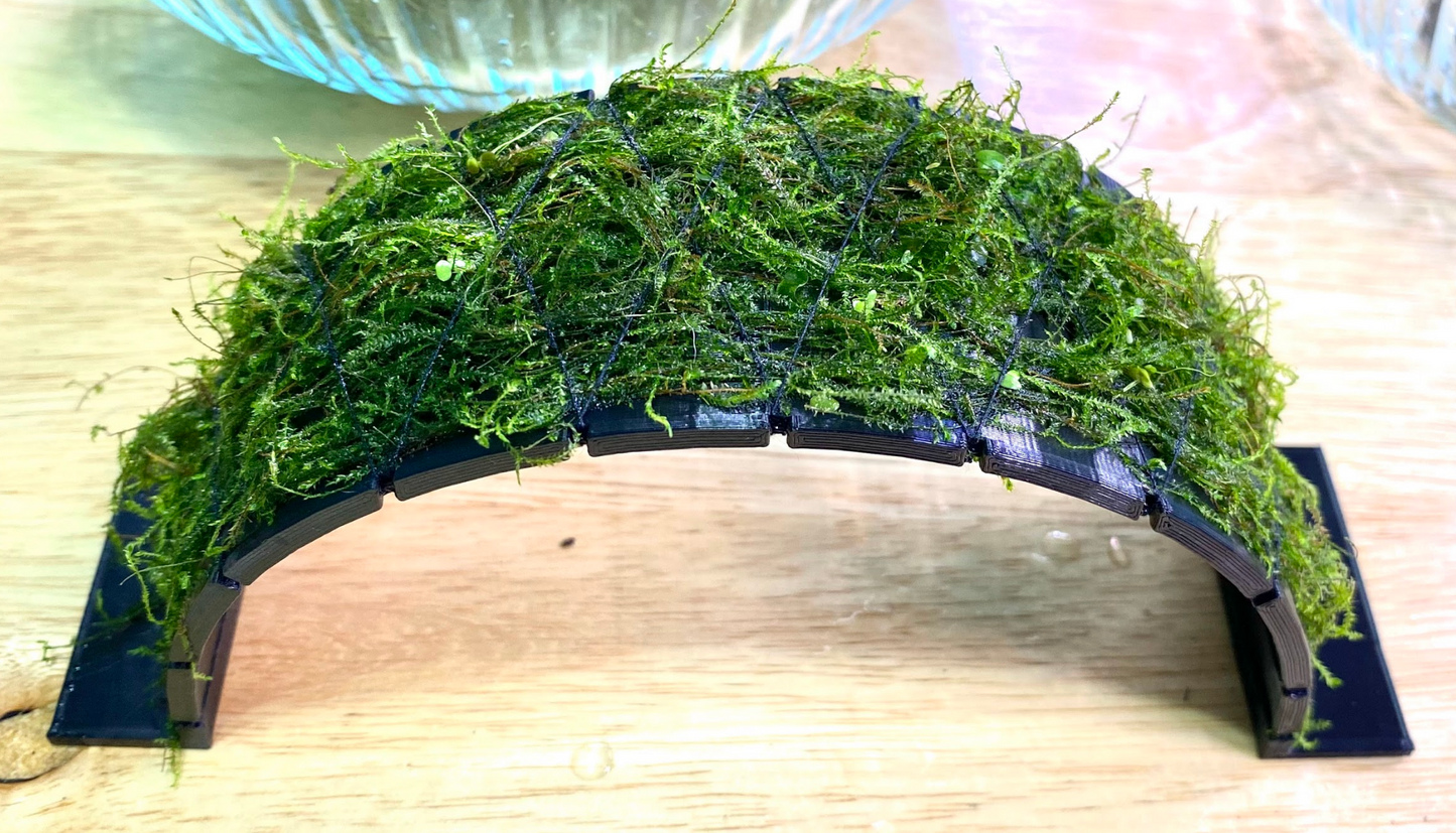Moss Bridge