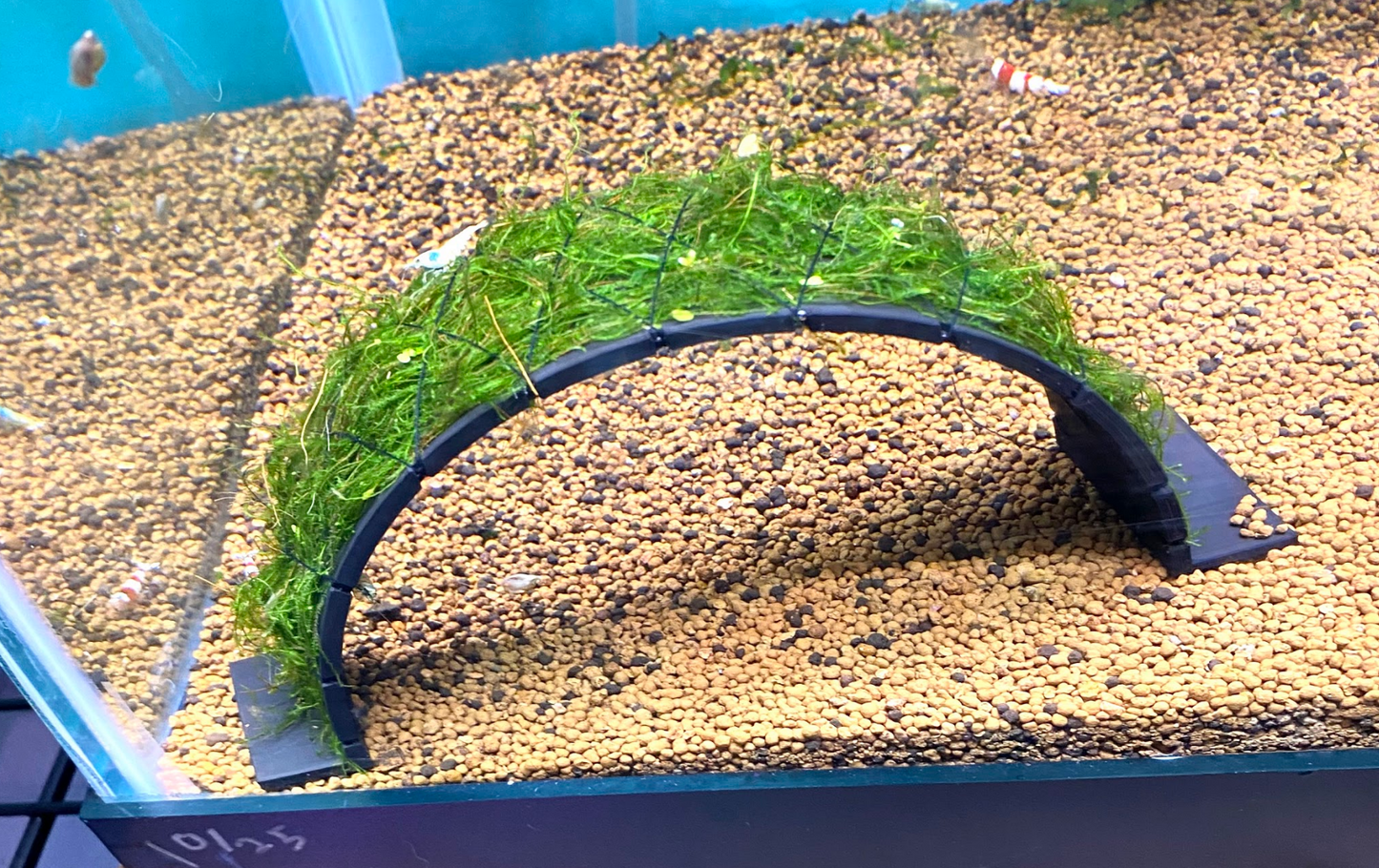 Moss Bridge